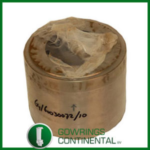 64/60030072/10 NON RETURN VALVE