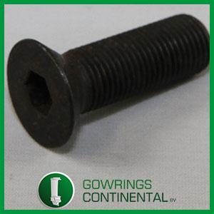 9100080213 BOLT