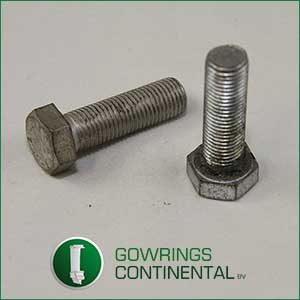 9100920136 SCREW