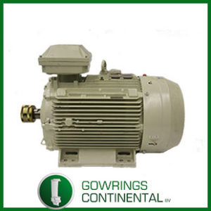 64/07001455/122 STARTER MOTOR