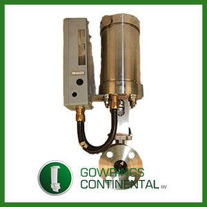 CT95038/01 INTEGRATED FUEL VALVE